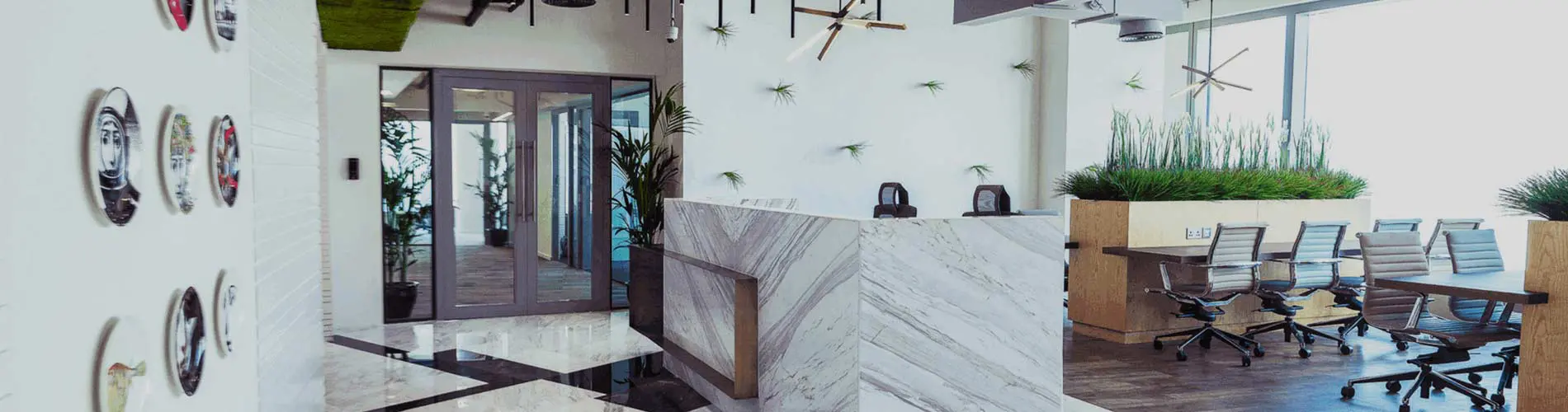 tlz offices