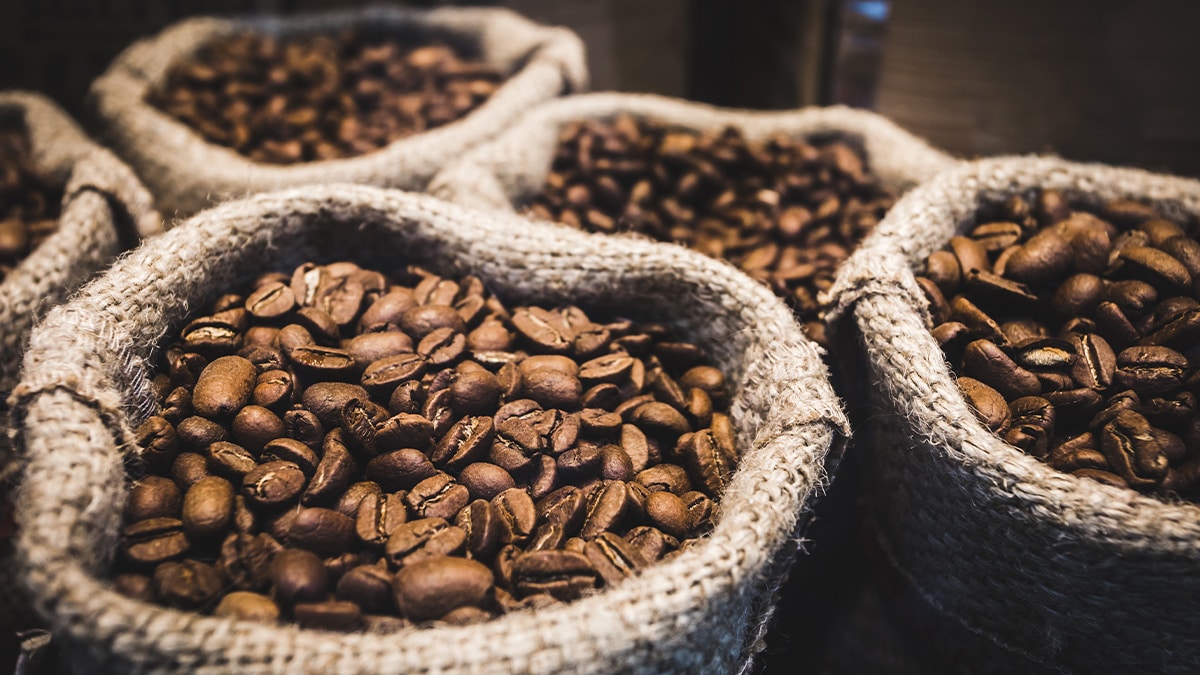 coffee trading business in Dubai